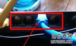 ����è������·����ͼ��_����è��������·�����̳�